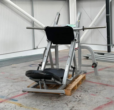 Flex Fitness Leg Press