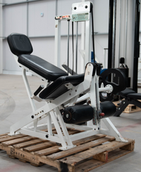 Flex Fitness Leg Extension