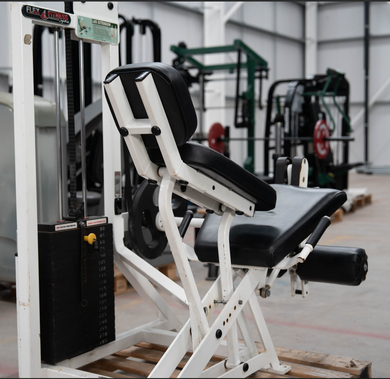 Flex Fitness Leg Extension