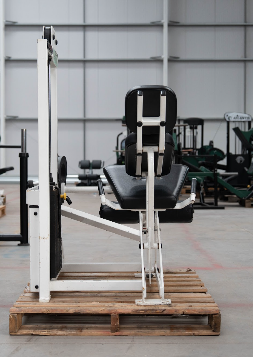 Flex Fitness Leg Extension