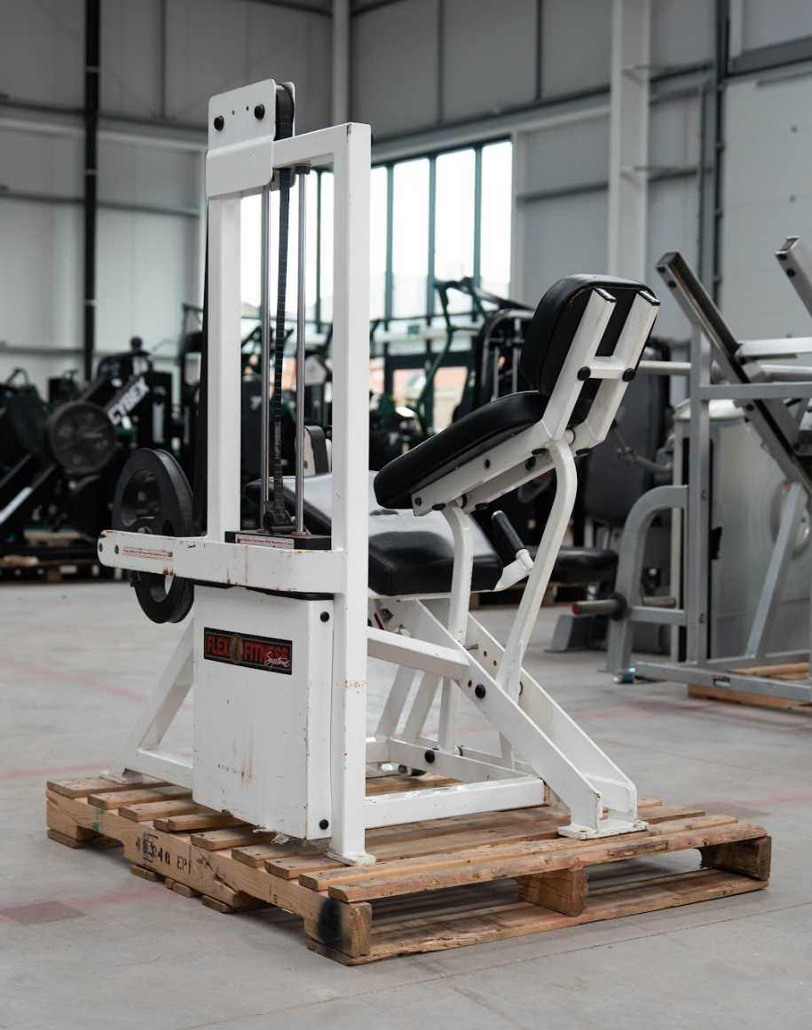 Flex Fitness Leg Extension