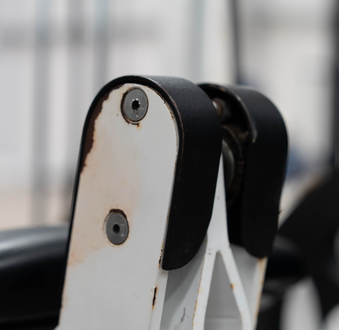 Flex Fitness Leg Extension