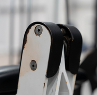 Flex Fitness Leg Extension